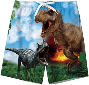 cadeau dinosaure