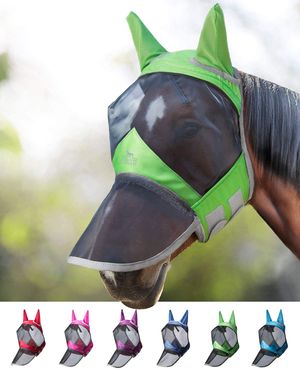 cadeau équitation