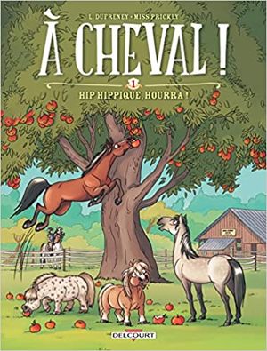 cadeau équitation