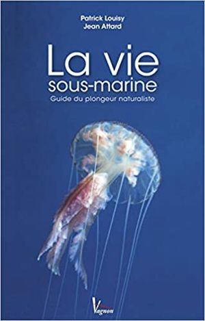 cadeau plongée